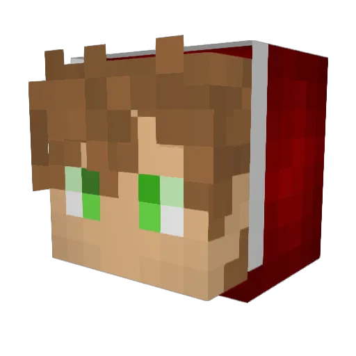 Polar_Opposer Minecraft avatar head, 3D render