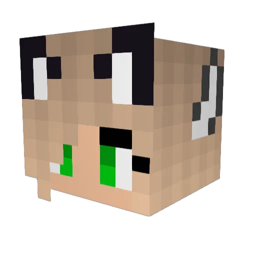 Polar_Tiger Minecraft avatar head, 3D render