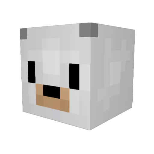 Polar_boy174 Minecraft avatar head, 3D render