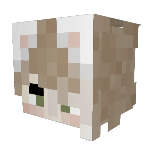 Polar_r Minecraft avatar head, 3D render
