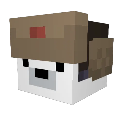 Polaralasys Minecraft avatar head, 3D render