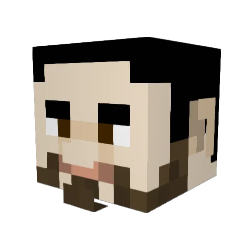 Polarike Minecraft avatar head, 3D render