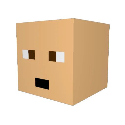 Polaris0801 Minecraft avatar head, 3D render