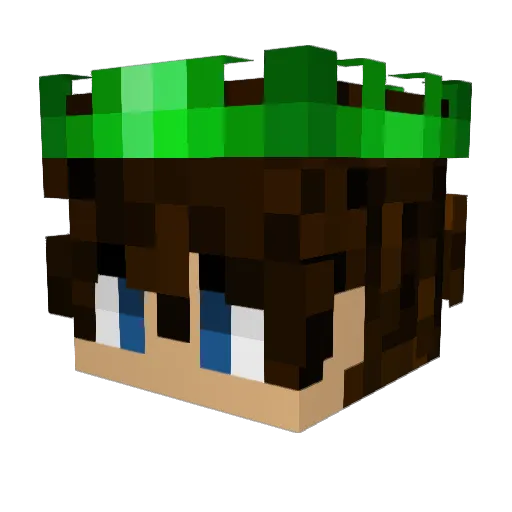 Polaris1275 Minecraft avatar head, 3D render