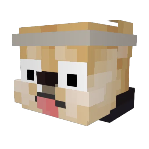 Polaris3762 Minecraft avatar head, 3D render
