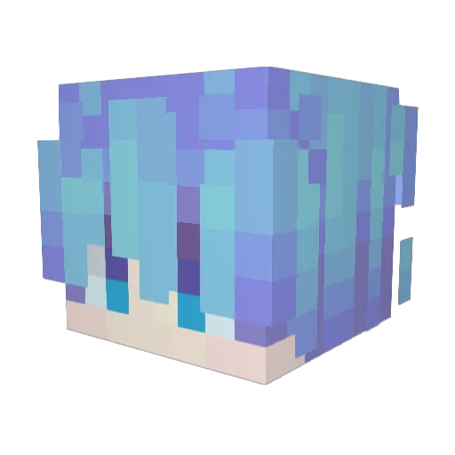 Polaris40k Minecraft avatar head, 3D render