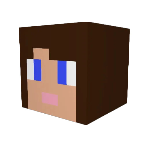 Polaris8 Minecraft avatar head, 3D render