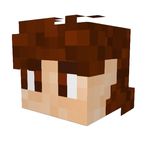 Polaris_CA Minecraft avatar head, 3D render