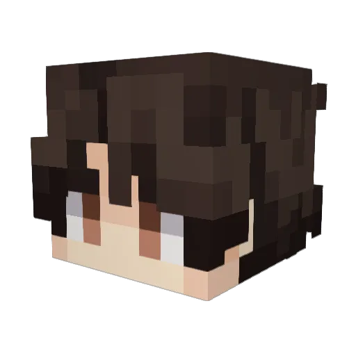 Polaris_N Minecraft avatar head, 3D render