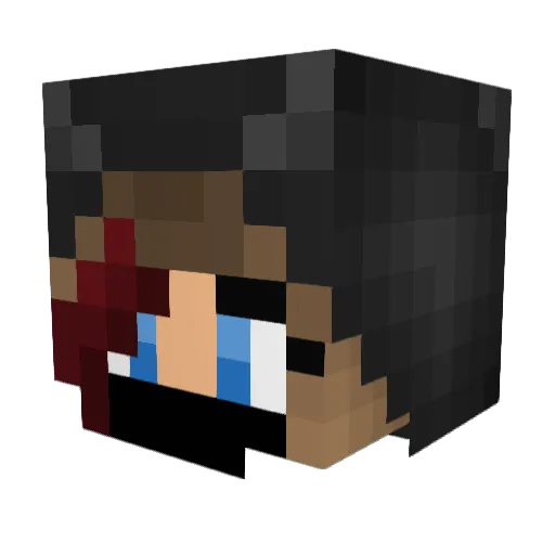 Polarisscrambler Minecraft avatar head, 3D render