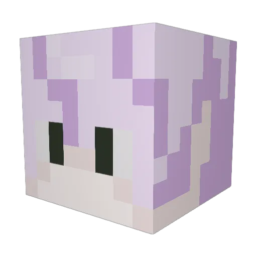 Polaritay Minecraft avatar head, 3D render