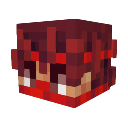 PolarityMC_ Minecraft avatar head, 3D render
