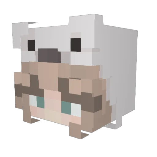 Polarityz Minecraft avatar head, 3D render