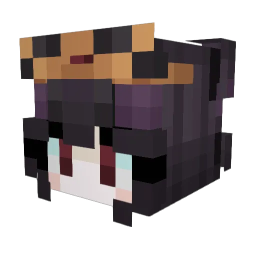 PolarizeWonder Minecraft avatar head, 3D render