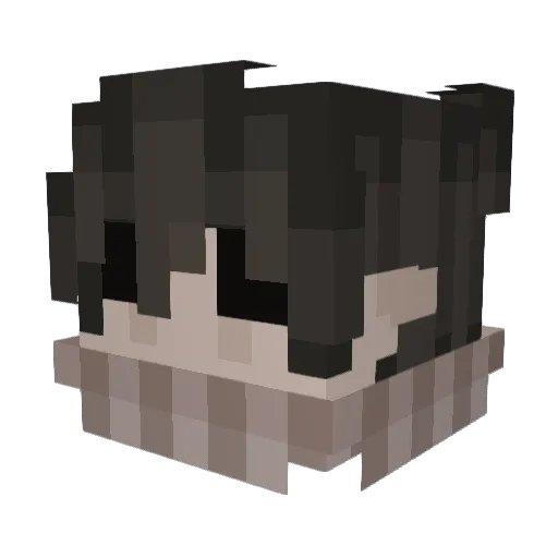 PolarizedCopy Minecraft avatar head, 3D render