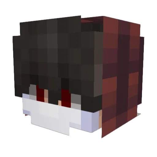 PolarniZeka Minecraft avatar head, 3D render