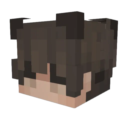 PolarnyAnanas Minecraft avatar head, 3D render