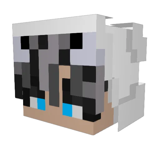 Polarquevoa Minecraft avatar head, 3D render