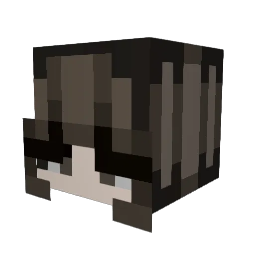 Polarxity Minecraft avatar head, 3D render