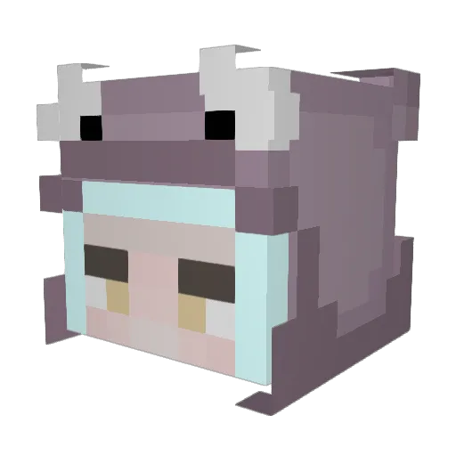 Polatio Minecraft avatar head, 3D render