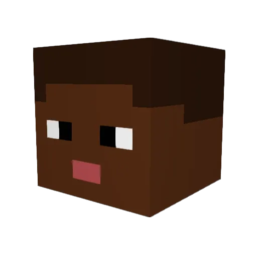 Polderpatat420 Minecraft avatar head, 3D render