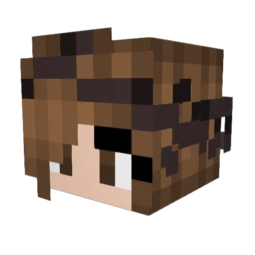 Poldi309 Minecraft avatar head, 3D render