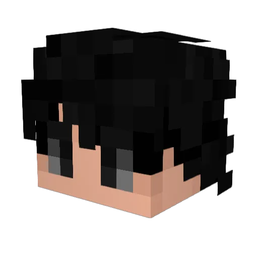 Pole114 Minecraft avatar head, 3D render