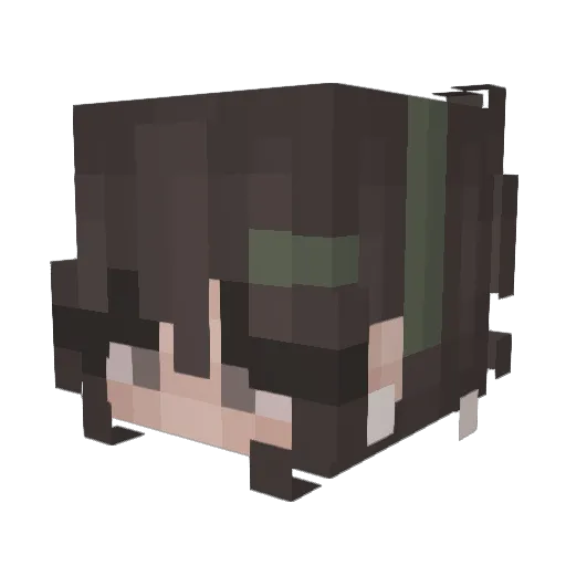 Pole_Star77 Minecraft avatar head, 3D render