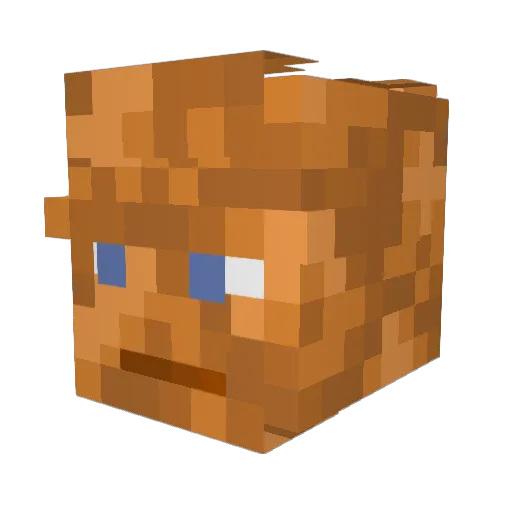 Polekamp Minecraft avatar head, 3D render