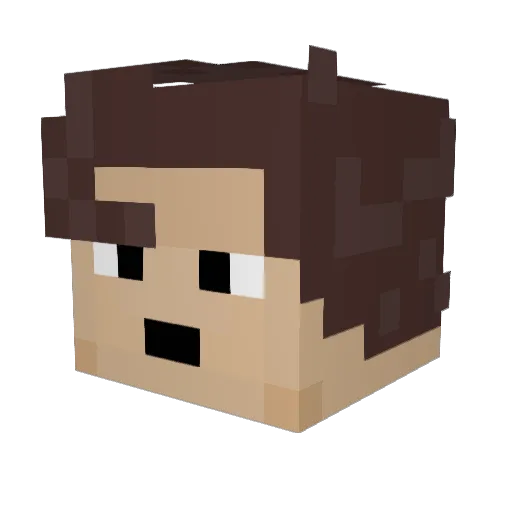 PolenBro Minecraft avatar head, 3D render