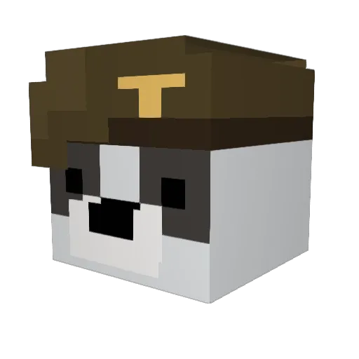 Polenka333 Minecraft avatar head, 3D render