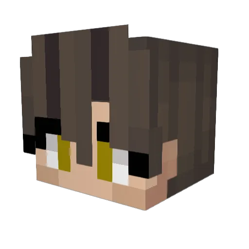 Polestar2001 Minecraft avatar head, 3D render