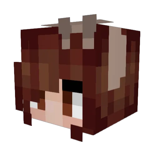 PoliKookie Minecraft avatar head, 3D render