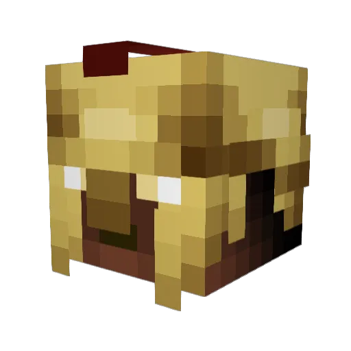 Police9114 Minecraft avatar head, 3D render