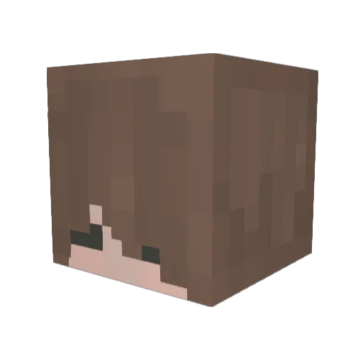 Polich Minecraft avatar head, 3D render
