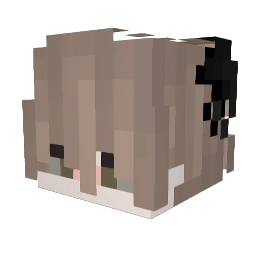 Polimontv Minecraft avatar head, 3D render