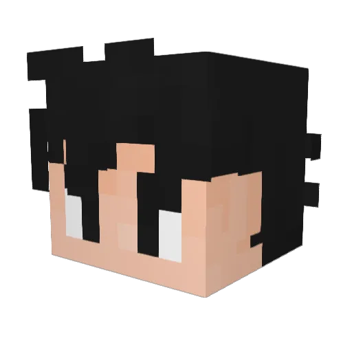 PolinatoR_ Minecraft avatar head, 3D render