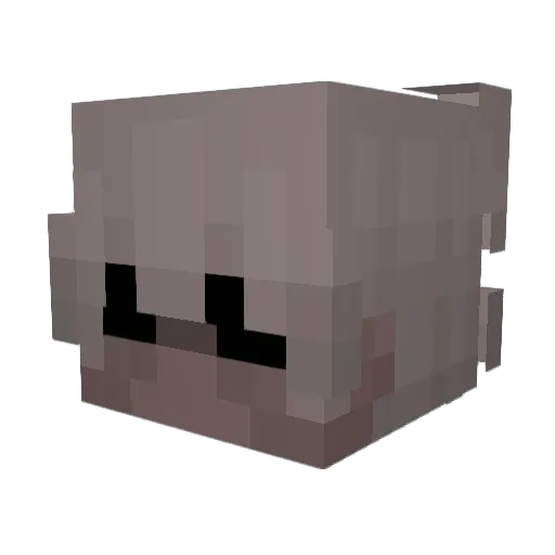 Polisemia Minecraft avatar head, 3D render