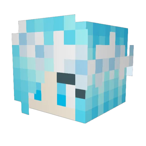 PolishBike Minecraft avatar head, 3D render