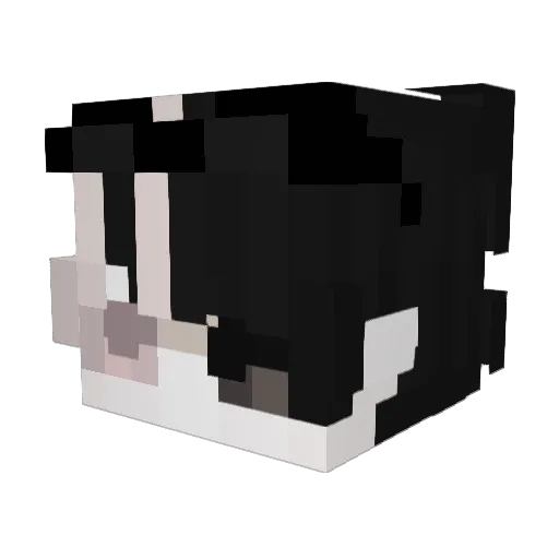 PolishBoy345 Minecraft avatar head, 3D render