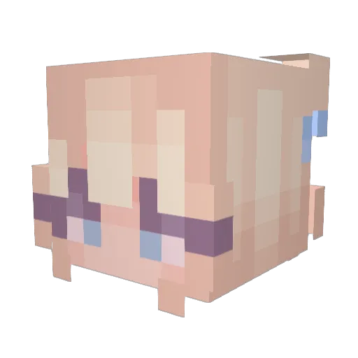 PolishFlamingo Minecraft avatar head, 3D render