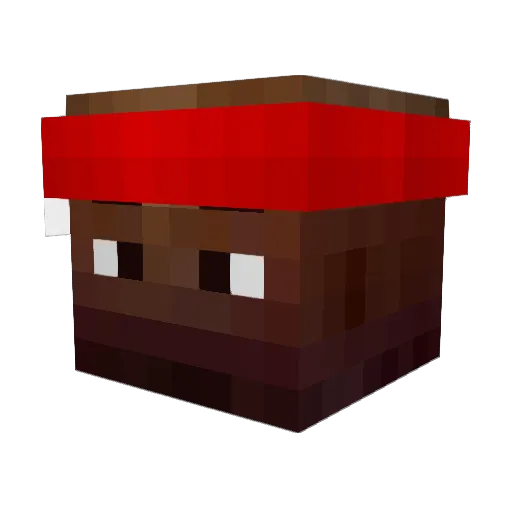 PolishJordan Minecraft avatar head, 3D render