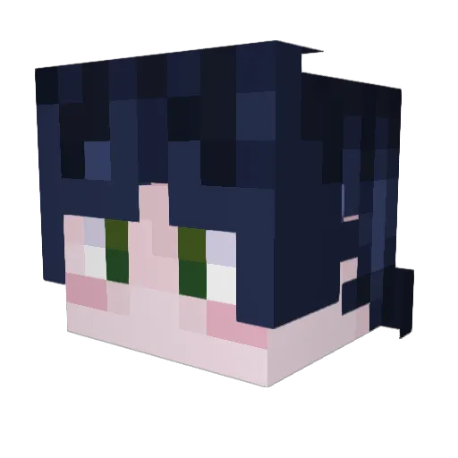 Polish_b3ach Minecraft avatar head, 3D render