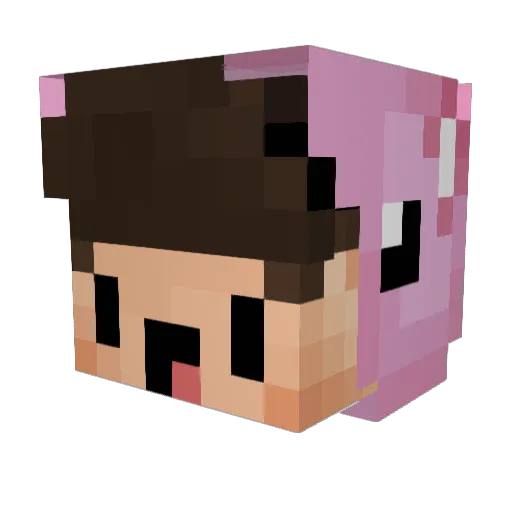 Polizei_Eschwege Minecraft avatar head, 3D render