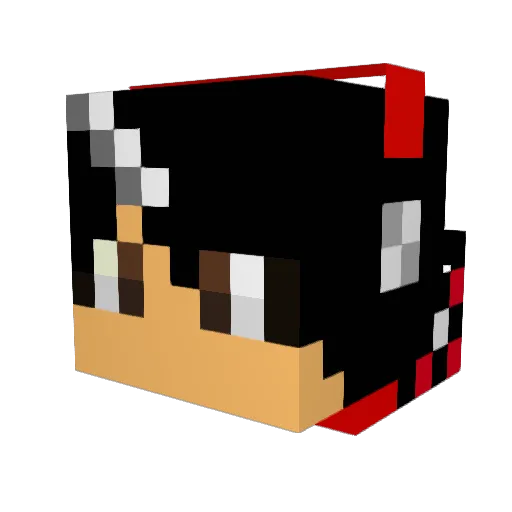 Polk420 Minecraft avatar head, 3D render