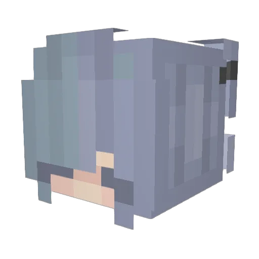 PolkaPL Minecraft avatar head, 3D render