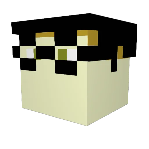 Polkerito Minecraft avatar head, 3D render