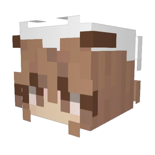 Poll064 Minecraft avatar head, 3D render