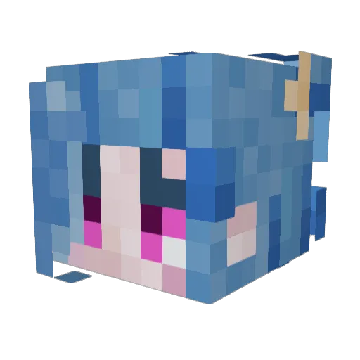 Poll0s10 Minecraft avatar head, 3D render