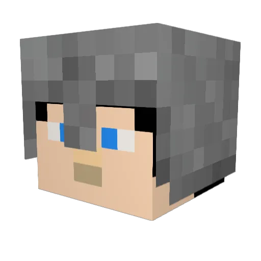 Poll12 Minecraft avatar head, 3D render